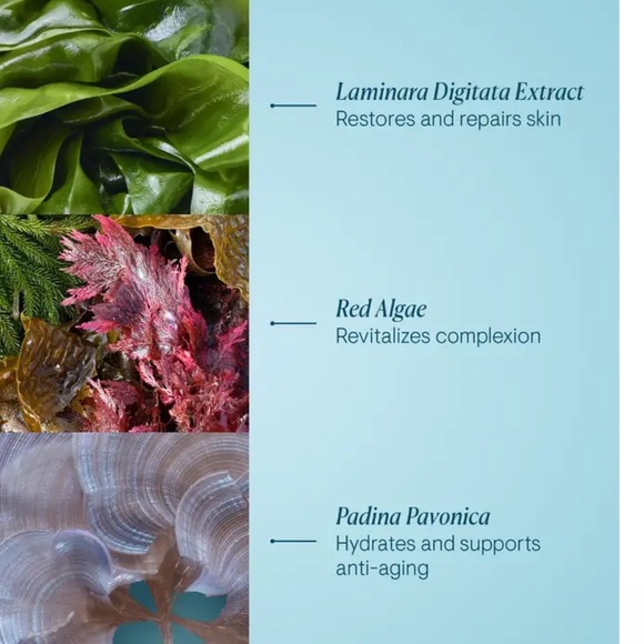 PRO-COLLAGEN NIGHT CREAM
Anti-Wrinkle Night Cream - Picture 5 of 5